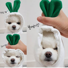 Cute Fruit Dog  Warm Winter  Hoodies  For Small Dogs