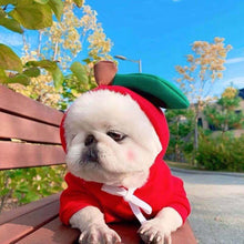 Cute Fruit Dog  Warm Winter  Hoodies  For Small Dogs