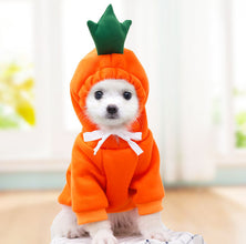 Cute Fruit Dog  Warm Winter  Hoodies  For Small Dogs