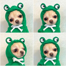 Cute Fruit Dog  Warm Winter  Hoodies  For Small Dogs