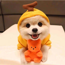 Cute Fruit Dog  Warm Winter  Hoodies  For Small Dogs