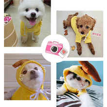 Cute Fruit Dog  Warm Winter  Hoodies  For Small Dogs