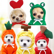 Cute Fruit Dog  Warm Winter  Hoodies  For Small Dogs