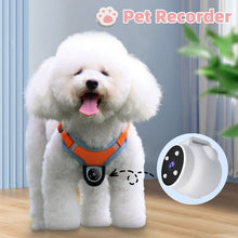 Pet Tracker Collar Dogs And Cats Viewing Angle Motion Recording Camera Action